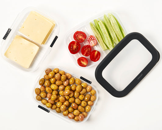 TOSCA Deli and Cheese Storage Container Set, 3 x 0.8 L, Anthracite